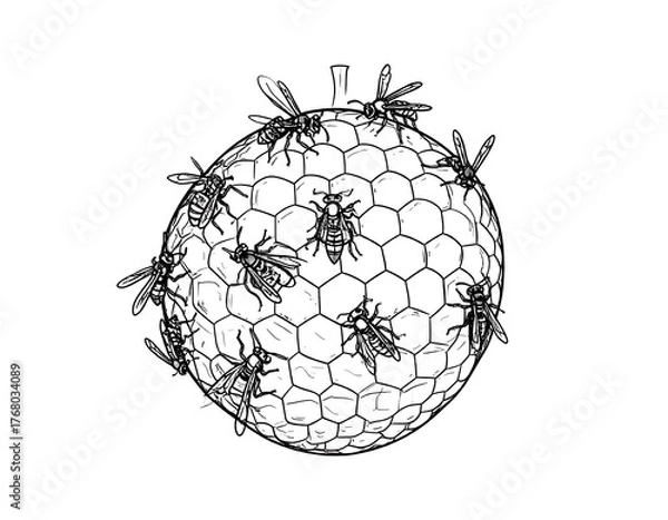 Fototapeta A black and white illustration of a spherical honeycomb with insects around