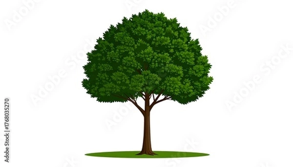 Fototapeta A digitally rendered, lush green tree on a simple white background