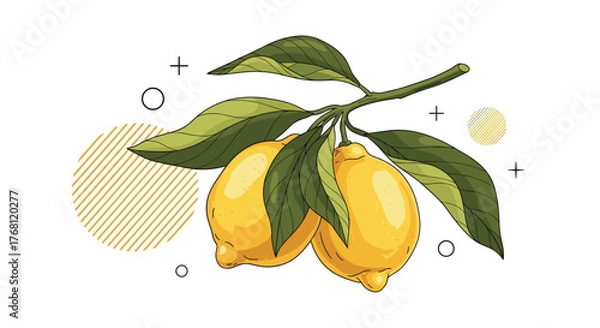 Fototapeta Branch with two ripe lemons and green leaves with abstract shapes on a white background.