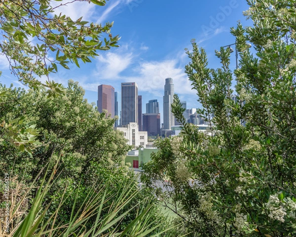 Obraz City Behind the Trees