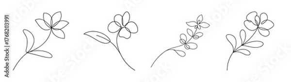 Obraz Four delicate larkspur flower line drawings botanical art