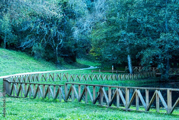 Obraz Wooden Fence and Reflection by Forest Pond