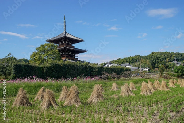 Obraz 法起寺の三重塔とわらづつ