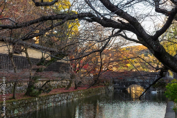 Fototapeta 日本の風景・秋　岡山県倉敷市　倉敷美観地区