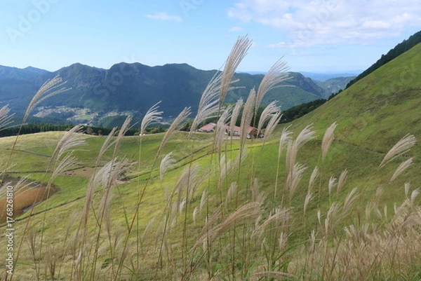 Obraz 曽爾高原のすすき