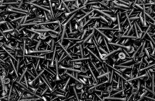 Obraz screws macro