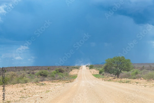 Obraz Sand road in the Ugab River valley, Namibia