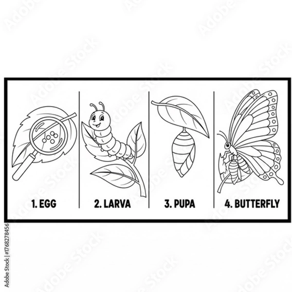 Obraz Butterfly Metamorphosis Icons. Set of isometric vector illustrations of butterfly metamorphosis emerging cocoon: hardened cocoon form,