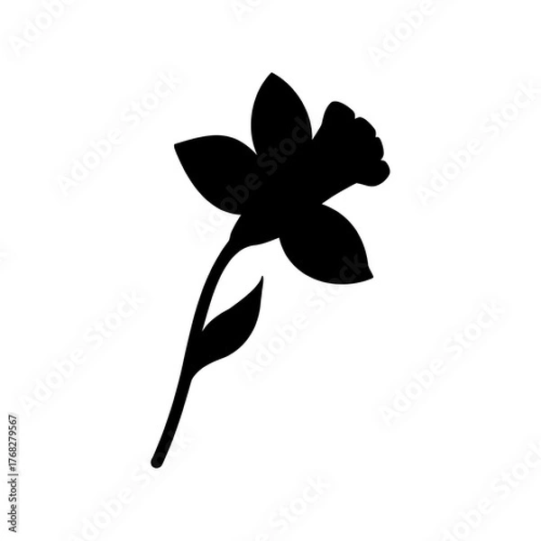 Fototapeta Elegant Daffodil Silhouette Against White Background, A Study in Floral Minimalism