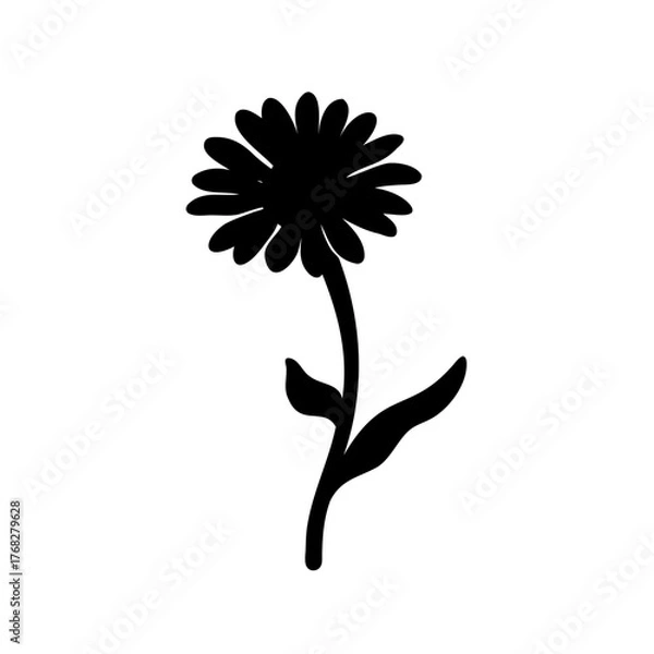 Fototapeta Silhouette of a Delicate Daisy Flower on a White Background