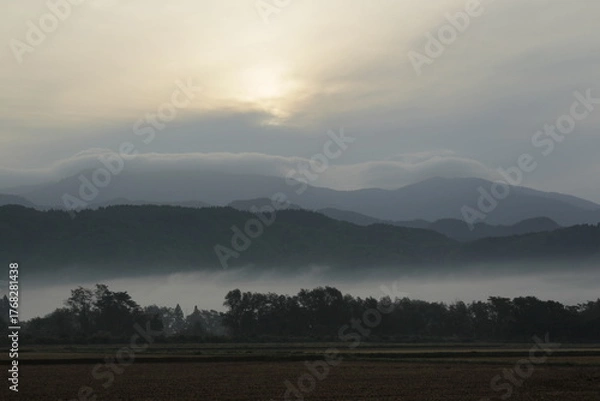 Obraz 夜明け前の田んぼに差し込む光