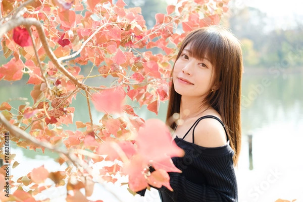 Obraz 美しい日本女性