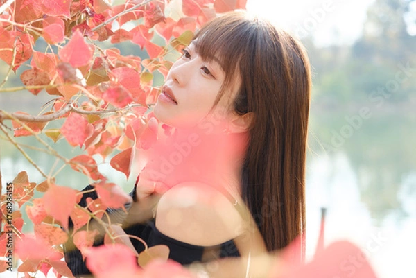 Obraz 美しい日本女性