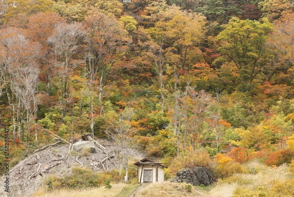 Obraz 紅葉する祠