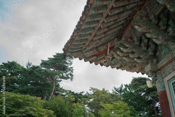 Obraz Cheoma's Colorful Curve
