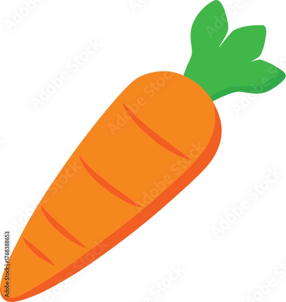 Obraz single bright orange carrot vector illustration