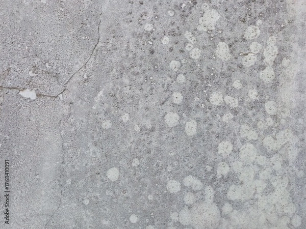 Fototapeta Weathered Gray Concrete Wall with White Lichen Spots