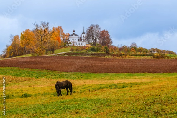 Obraz Horse grazing in an autumn landscape near a historic building in a rural setting