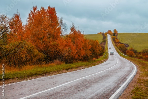 Obraz Scenic autumn road winding through colorful trees