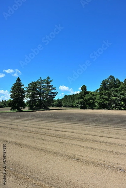 Obraz 畑と夏空の風景（青森県）