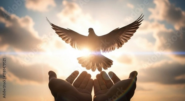 Fototapeta Dove taking flight from hands towards the sun, representing freedom and spirituality