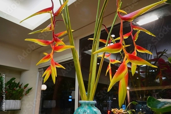 Obraz Heliconia, or false bird of paradise flowers in a florist shop in Glyfada, Greece