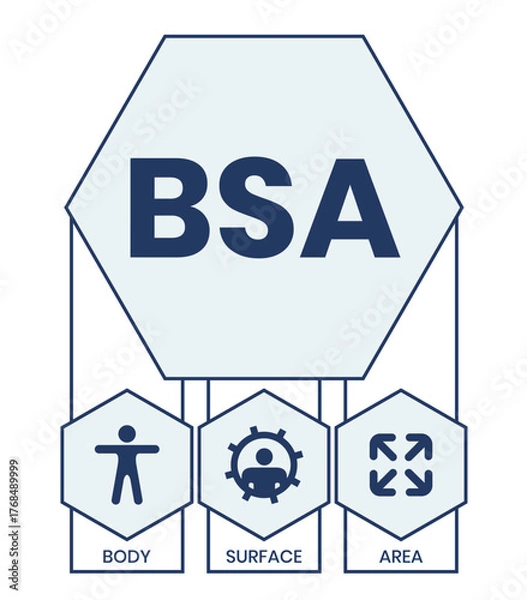 Fototapeta BSA - Body Surface Area acronym. business concept background. vector illustration concept with keywords and icons. lettering illustration with icons for web banner, flyer