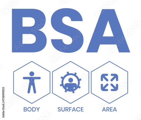 Fototapeta BSA - Body Surface Area acronym. business concept background. vector illustration concept with keywords and icons. lettering illustration with icons for web banner, flyer