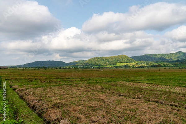 Fototapeta Beautiful Rural Landscape with Green Hills, Rice Fields, and Cloudy Blue Sky