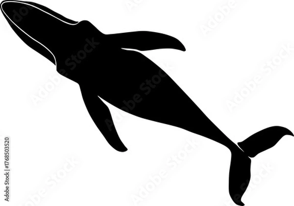 Obraz Humpback whale