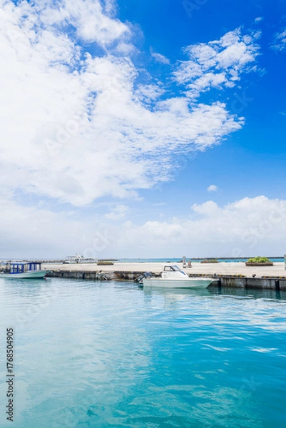 Fototapeta 沖縄-【竹富島－竹富島の風景】