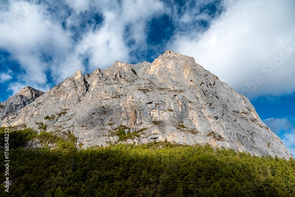 Obraz The rocky mountains and forest vegetation scenery of the Qinghai-Tibet Plateau region