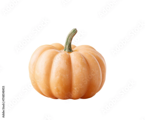 Fototapeta Large orange pumpkin with a green stem