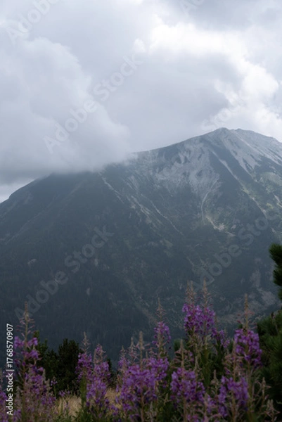 Obraz mountain landscape on peak of the balkans trail in Montenegro