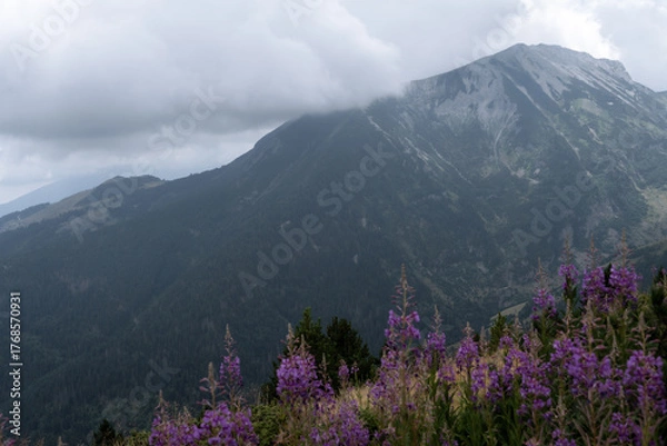 Obraz mountain landscape on peak of the balkans trail in Montenegro