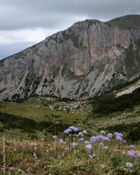Obraz mountain landscape on peak of the balkans trail in Montenegro