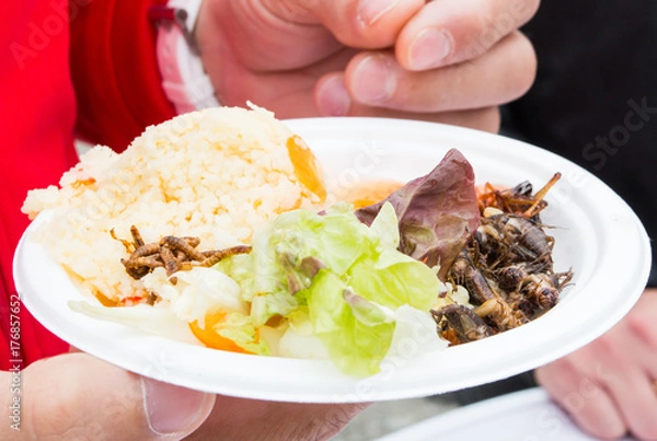 Obraz fried grasshoppers