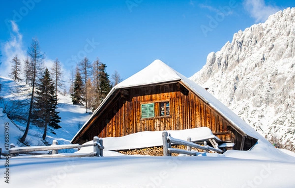 Obraz chalet in mountains