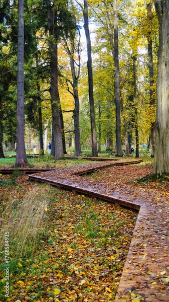Obraz path in autumn park