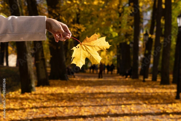 Obraz Close-up of a hand holding a golden leaf in glowing autumn light, over a forest path.