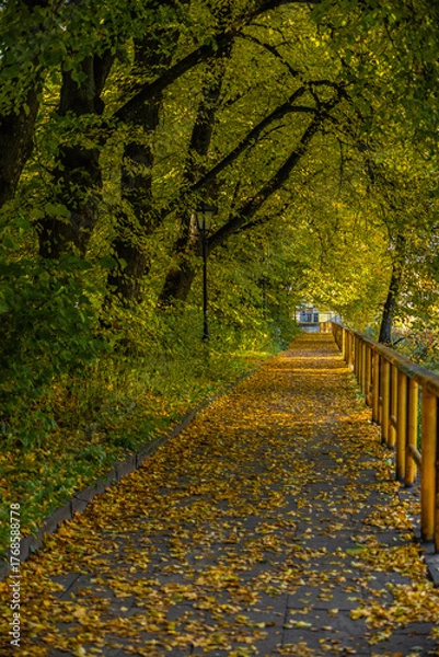 Obraz Quiet autumn walkway blanketed with golden leaves.