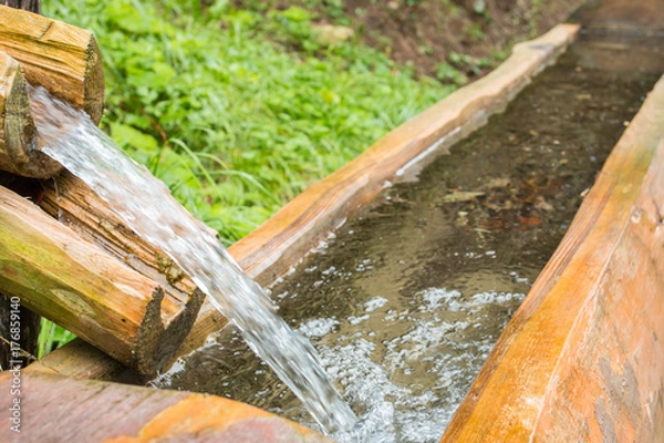 Obraz mountain spring