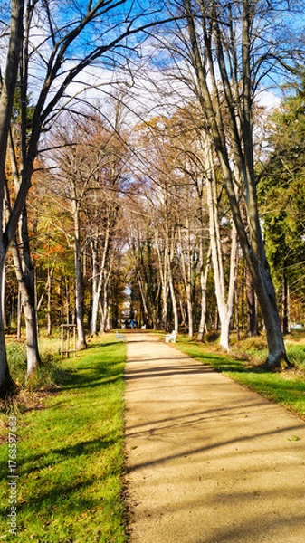 Obraz path in the park