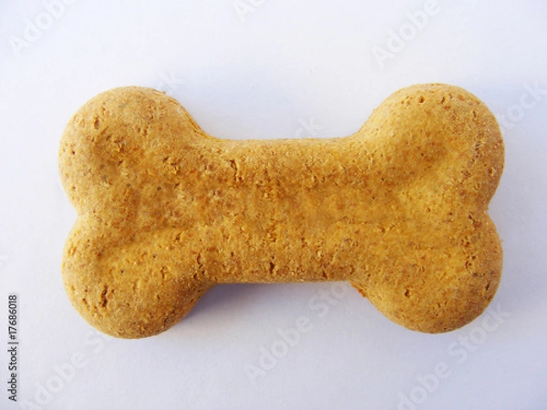 Obraz Biscoito Dog