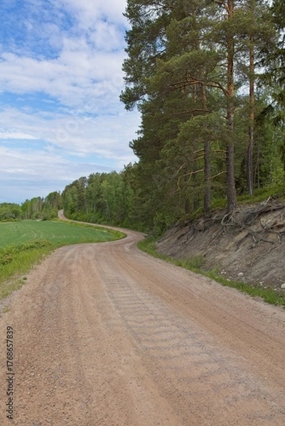 Fototapeta Landscape view of Hankalahdentie gravel road lined with field and forest in cloudy summer weather, Espoo, Finland.