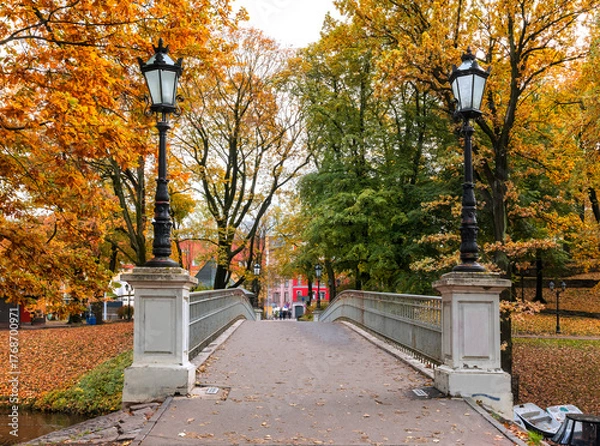Obraz Late autumn in old public park, walking pedestrian bridge and footpaths alleys among golden color trees, cloudy day