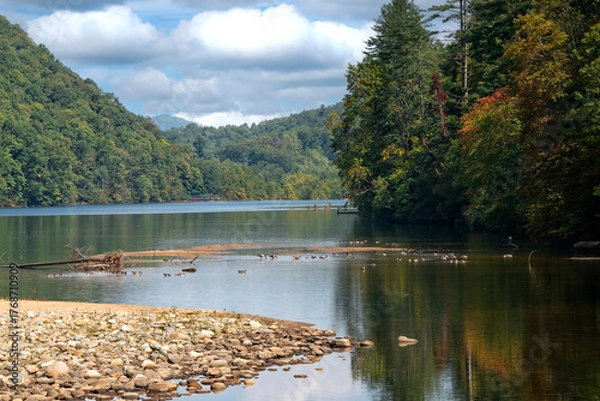 Fototapeta Autumn Landscape with Vibrant Color on Trees
