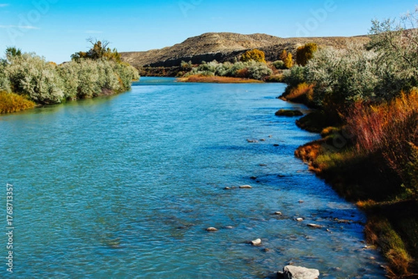 Fototapeta Fall Foliage on the Clarks Fork of the Yellowstone River on Highway 72 in Montana.