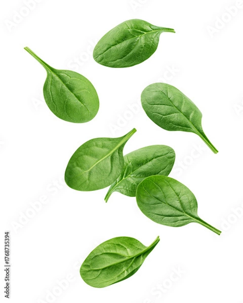 Fototapeta Falling Spinach isolated, full depth of field