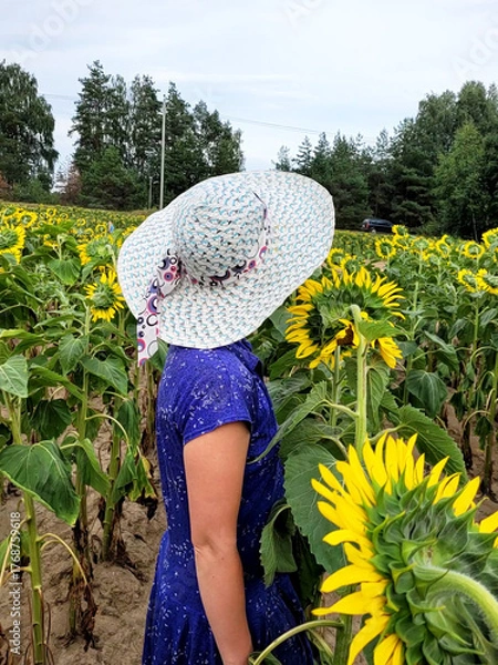 Fototapeta Girl in a white hat in a field with sunflowers